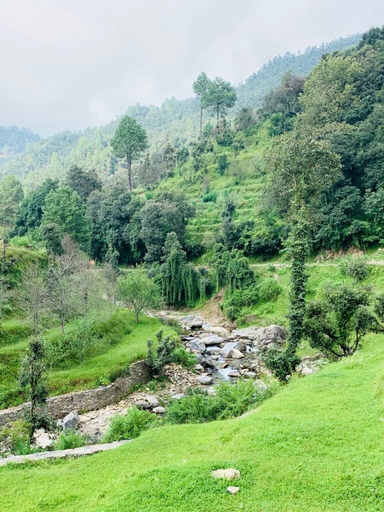 Chauli ki Jali, Mukteshwar